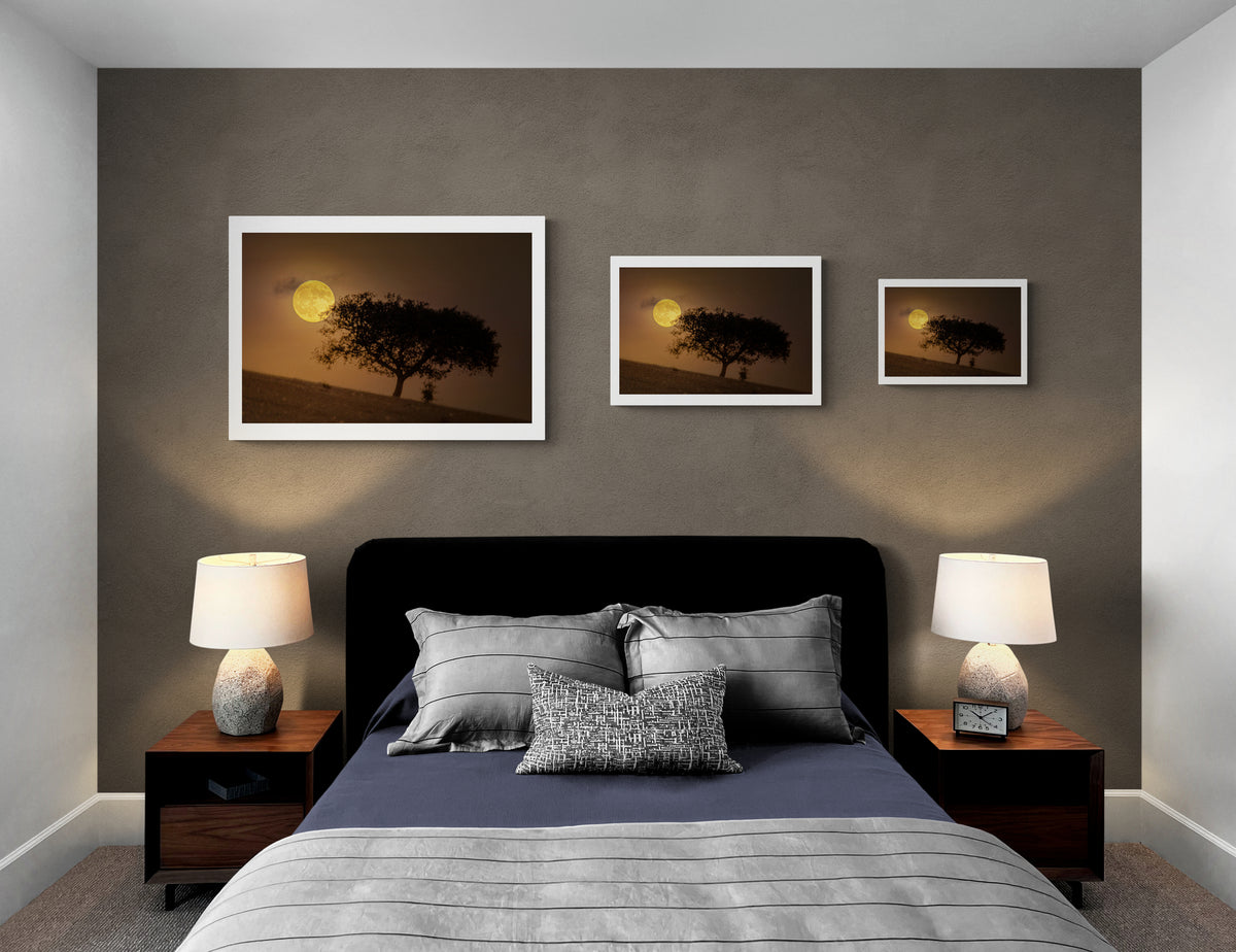 A Golden Beaver Moon Rises above the Fields of Dark Sky® Alqueva