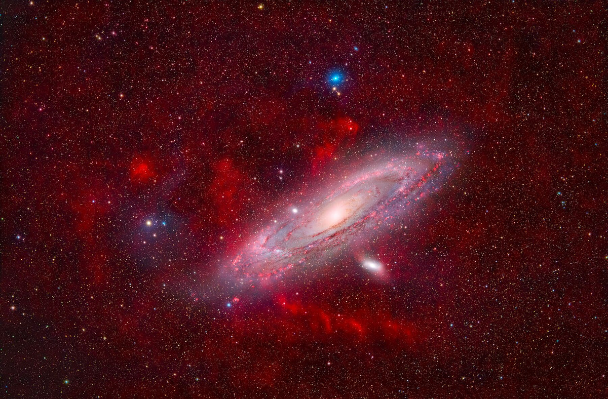 9151954