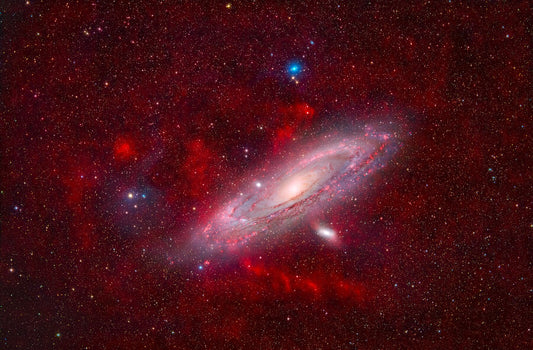 9151954