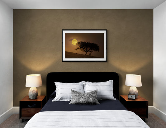 A Golden Beaver Moon Rises above the Fields of Dark Sky® Alqueva