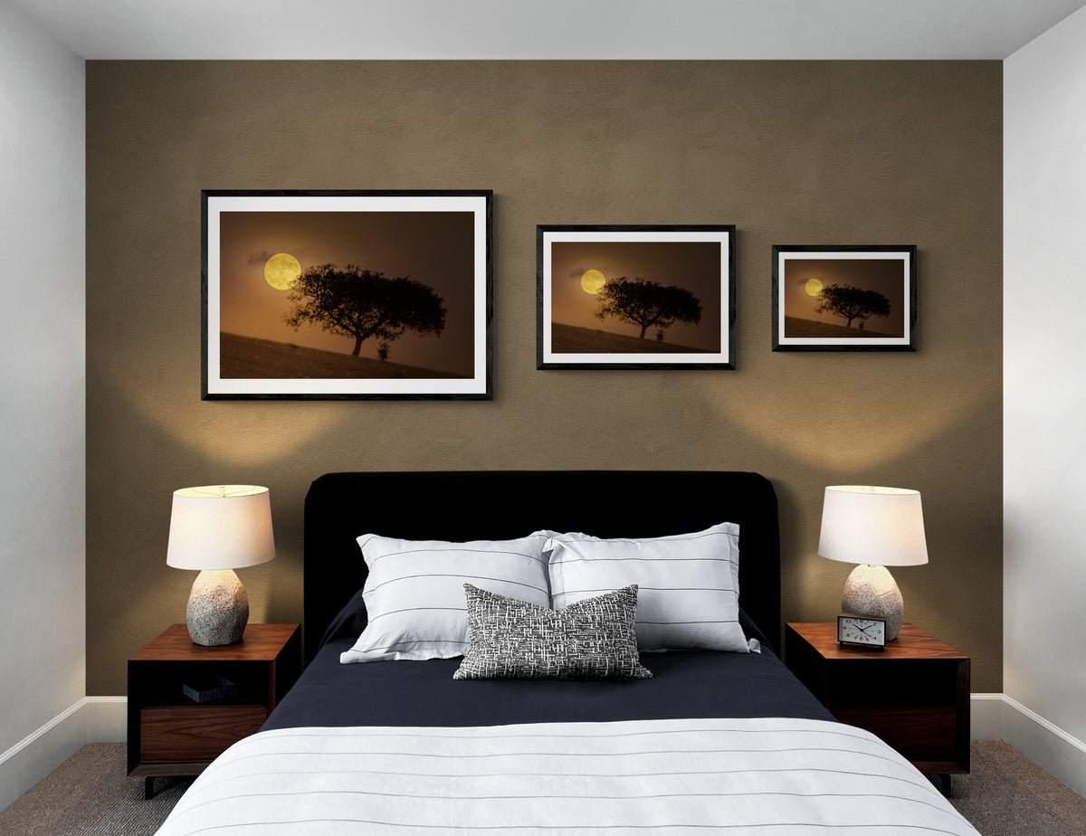 A Golden Beaver Moon Rises above the Fields of Dark Sky® Alqueva