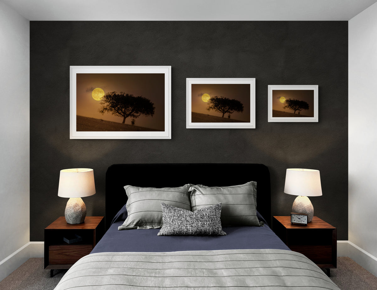 A Golden Beaver Moon Rises above the Fields of Dark Sky® Alqueva