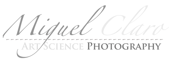 Miguel Claro Prints